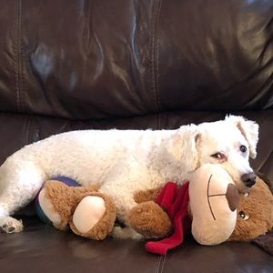 Meet your Posher, Sandy